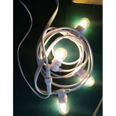 led festoon string light